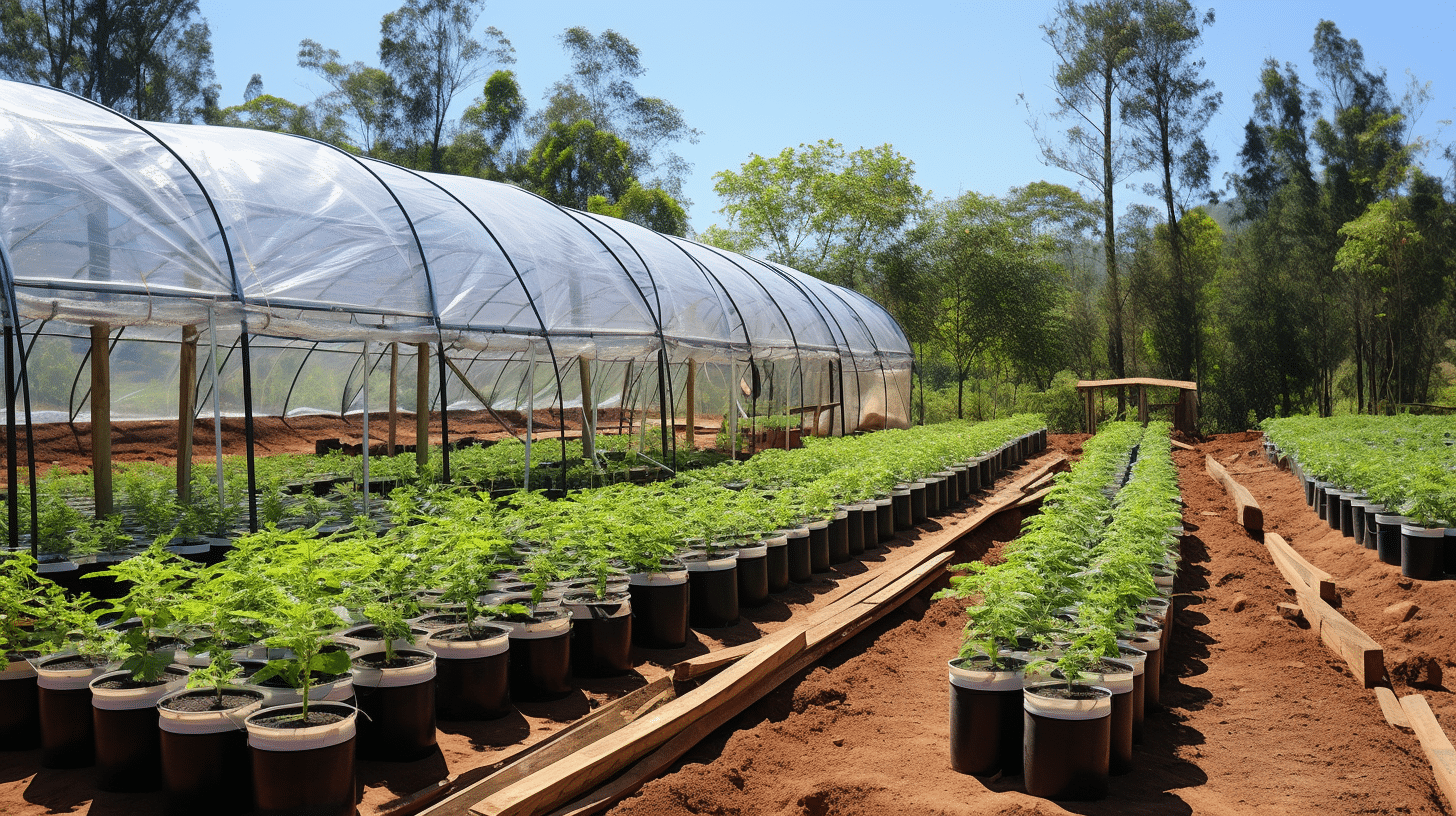 where to buy greenhouses and how to manage them in kenya